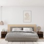 vidaXL Nachttische (2 Stk.) in Räuchereiche, 43x36x50 cm, im Schlafzimmer.