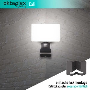 Oktaplex Cali LED Außenstrahler, anthrazit, 30W, warmweißes Licht. Slave-Funktion für flexible Beleuchtung.