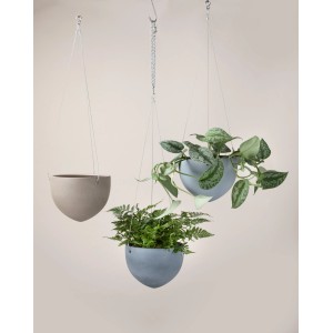 Scheurich Hängeampeln in verschiedenen Farben mit Pflanzen, Ø 18 cm.