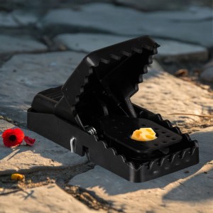 Schwarze Kunststoff Mäusefalle mit Käse als Köder auf Steinboden. Effektive Nagetierfalle für Haus & Garten.