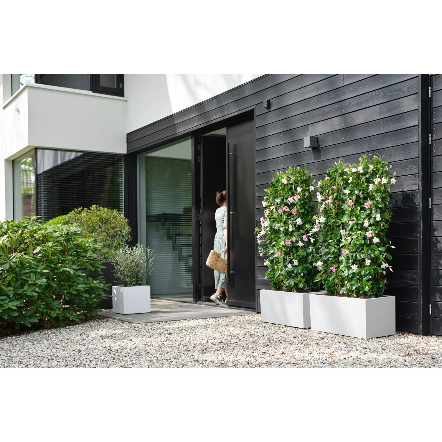 Weißer Elho Vivo Next Lang Blumentopf 59 cm mit Rollen vor modernem Haus.