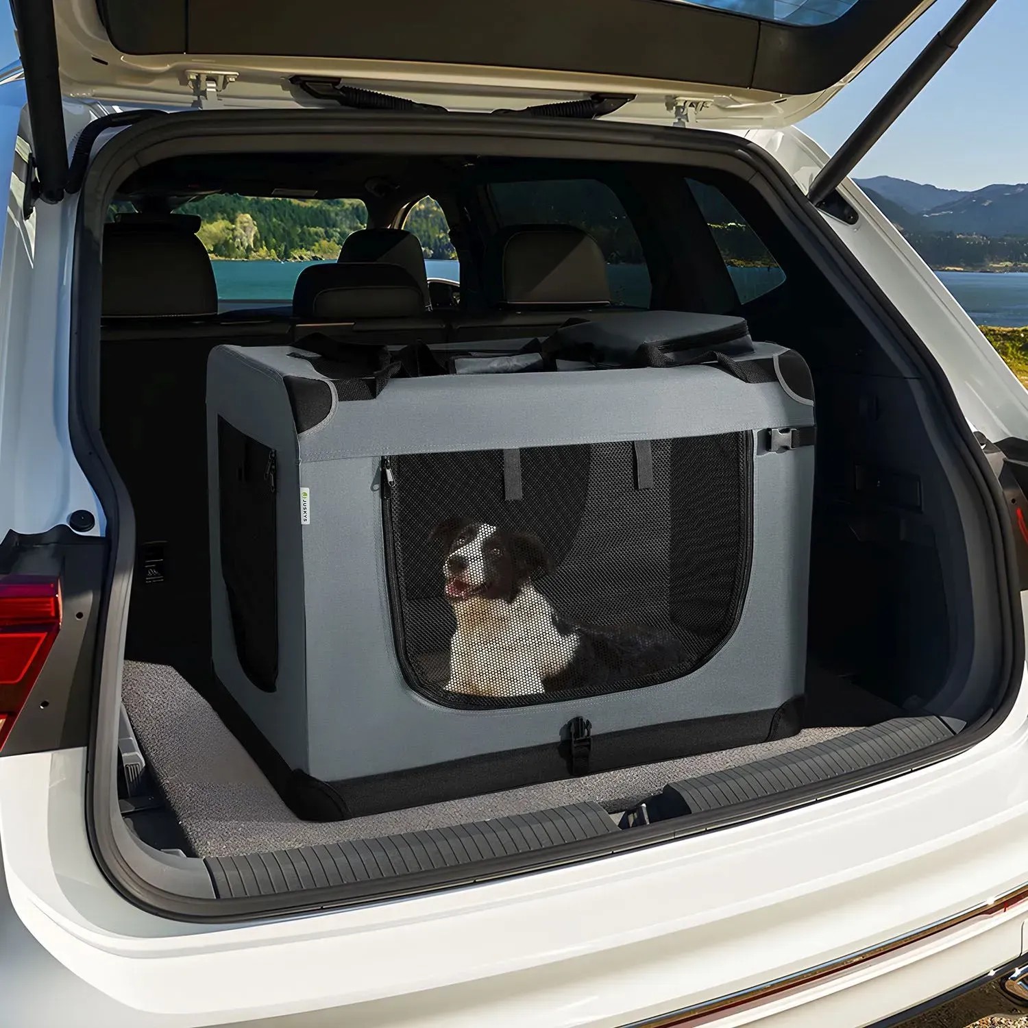 Graue Juskys Hundetransportbox Lassie XL im Kofferraum mit Hund. Faltbare Hundebox für Reisen und Zuhause.