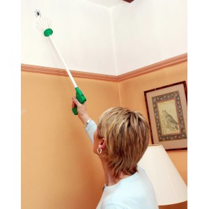 Frau benutzt Spinnenfänger Spider Catcher, um Spinne an der Decke zu entfernen. Insektenschutzzubehör.