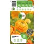 Orange GROW by OBI Ranunkel (Ranuculus asiaticus), ca. 50cm hoch. Blumenzwiebel für Beet und Topf.