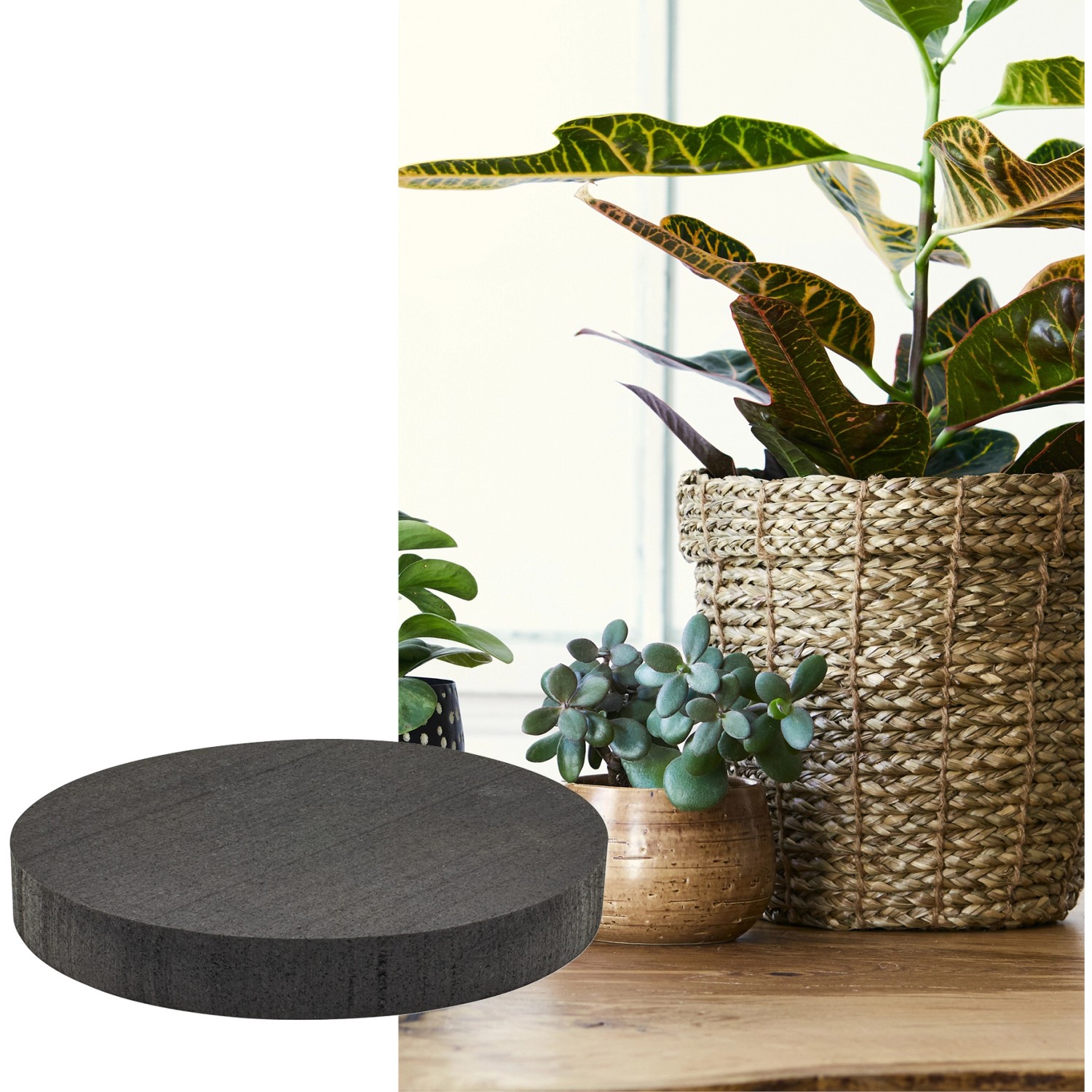 Schwarze Wagner Topffüße (4er-Set, Ø 60 mm) unter Pflanzentöpfen zum Schutz vor Kratzern und Staunässe.