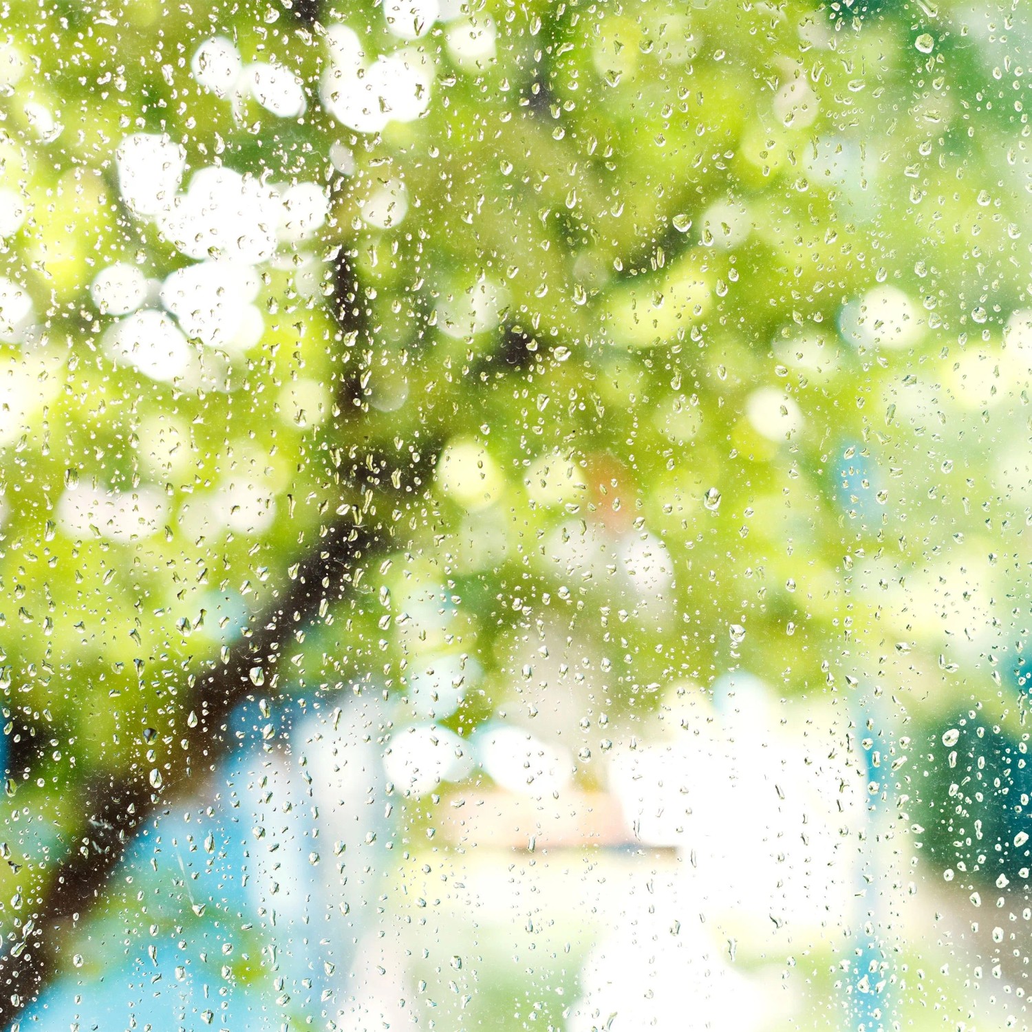 Relaxdays Regenmesser 2er Set Kunststoff Transparent Schwarz Wetterfest 24,5 cm x 10,5 cm x 8,5 cm 140 g_5
