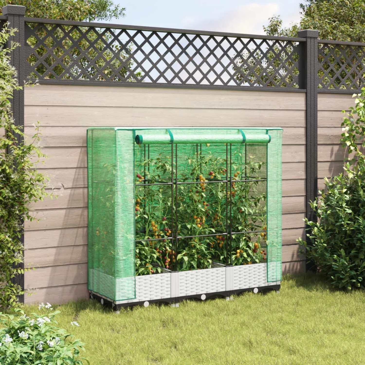 vidaXL Hochbeet mit Gewächshaus-Aufsatz in Rattan-Optik, 120x40x123 cm, mit Tomatenpflanzen im Garten.