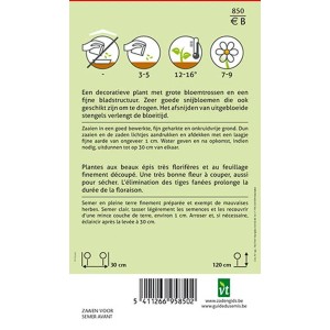 Rittersporn 'Sublime Mix' Saatgut ca. 0,75 g Lange Blütezeit