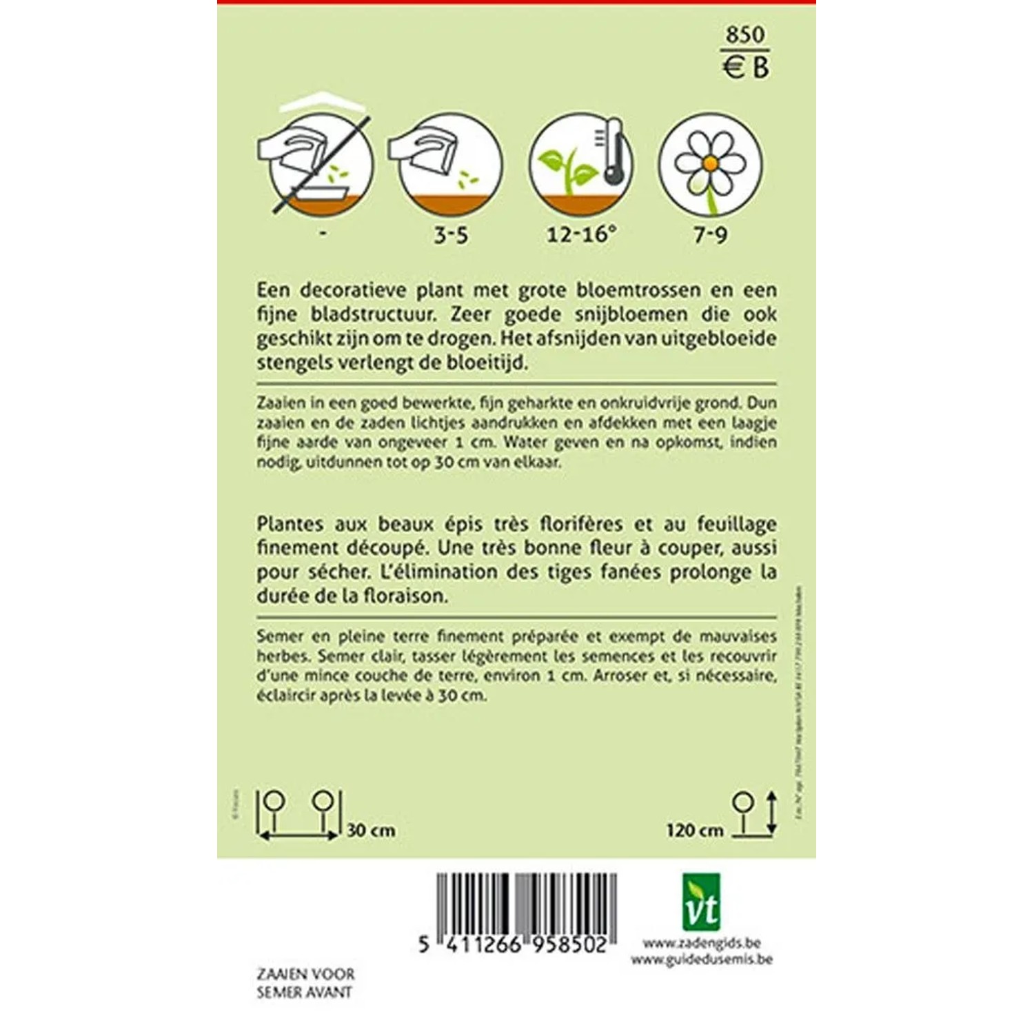 Rittersporn 'Sublime Mix' Saatgut ca. 0,75 g Lange Blütezeit_2