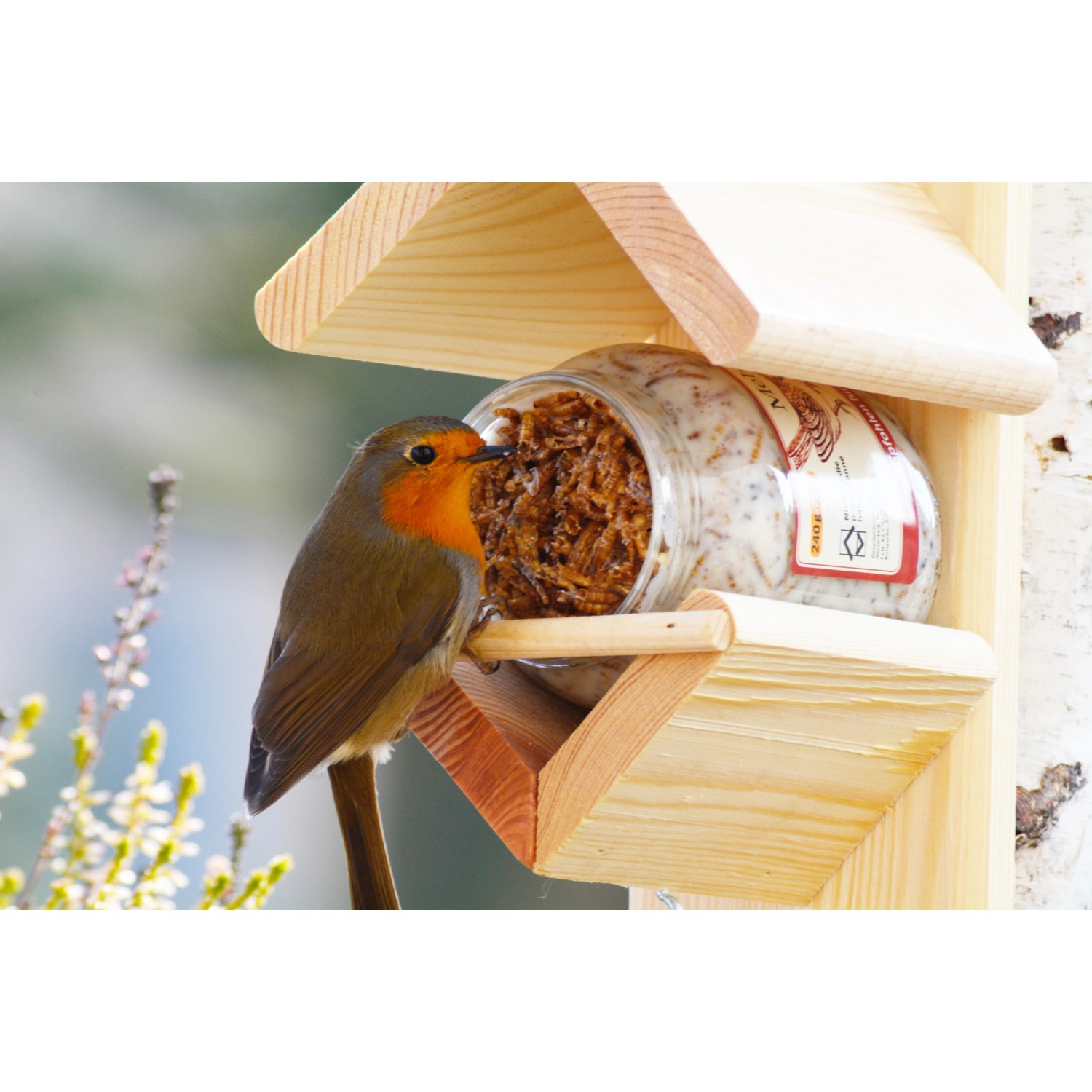 Halter für Vogelfutter im Glas kaufen bei OBI