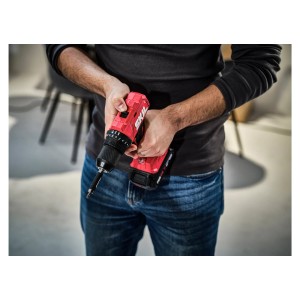 Skil Akku-Schlagbohrschrauber 3021HC 55 Nm Bürstenlos 2 x Akku & Ladegerät