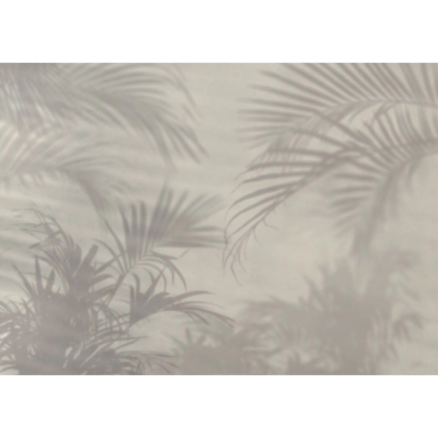 Komar Vliestapete Lumiere 350 cm x 250 cm günstig online kaufen