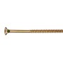 Goldfarbene LUX Flachsenkkopf Universalschraube, 5x40 mm, mit PZ-Antrieb.