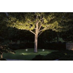 Paulmann Outdoor Flood Spot 15, schwarze Gartenleuchte beleuchtet Baum im Garten.