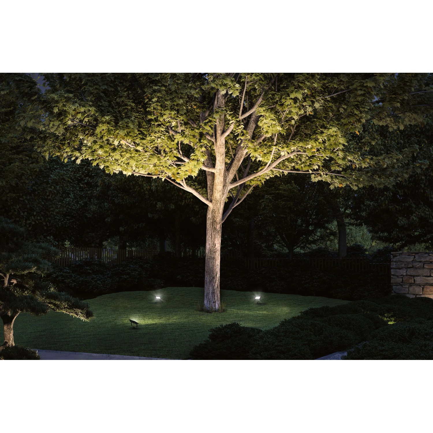 Paulmann Outdoor Flood Spot 15, schwarze Gartenleuchte beleuchtet Baum im Garten.