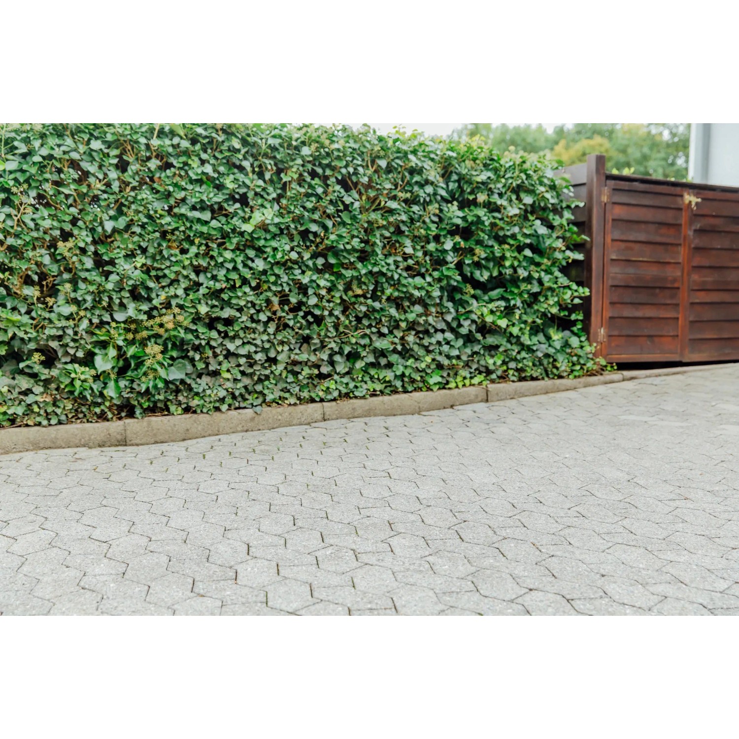 Graue Pflastersteine, behandelt mit Ultrament Betonlasur Pflaster Frisch Grau, vor grüner Hecke und Holztor.