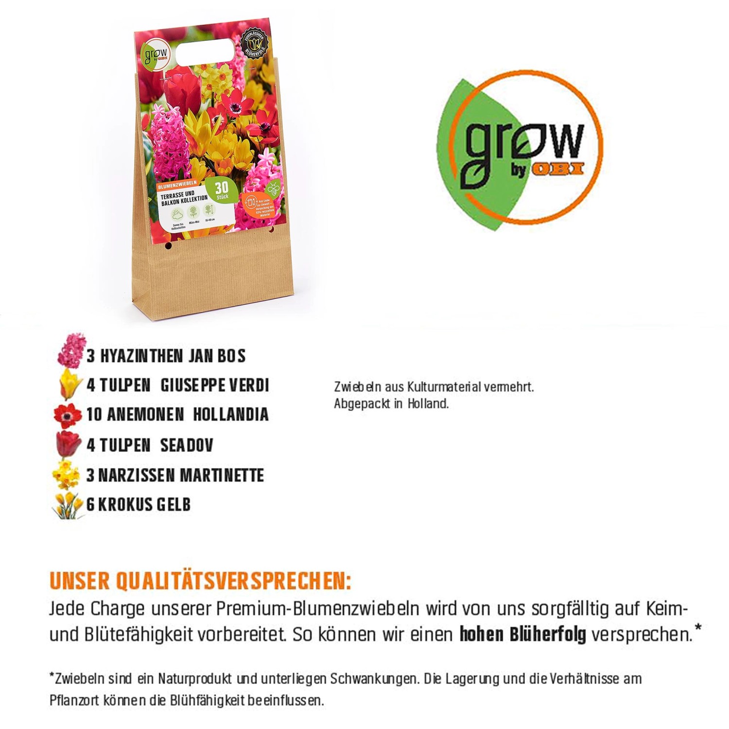 GROW by OBI Blumenzwiebel-Mischung für Terrasse & Balkon, 30 Stück, mehrfarbig.