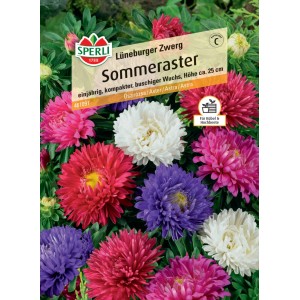 Samenpackung Sommeraster Lüneburger Zwerg mit Blüten in rosa, lila und weiß.