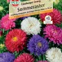 Samenpackung Sommeraster Lüneburger Zwerg mit Blüten in rosa, lila und weiß.