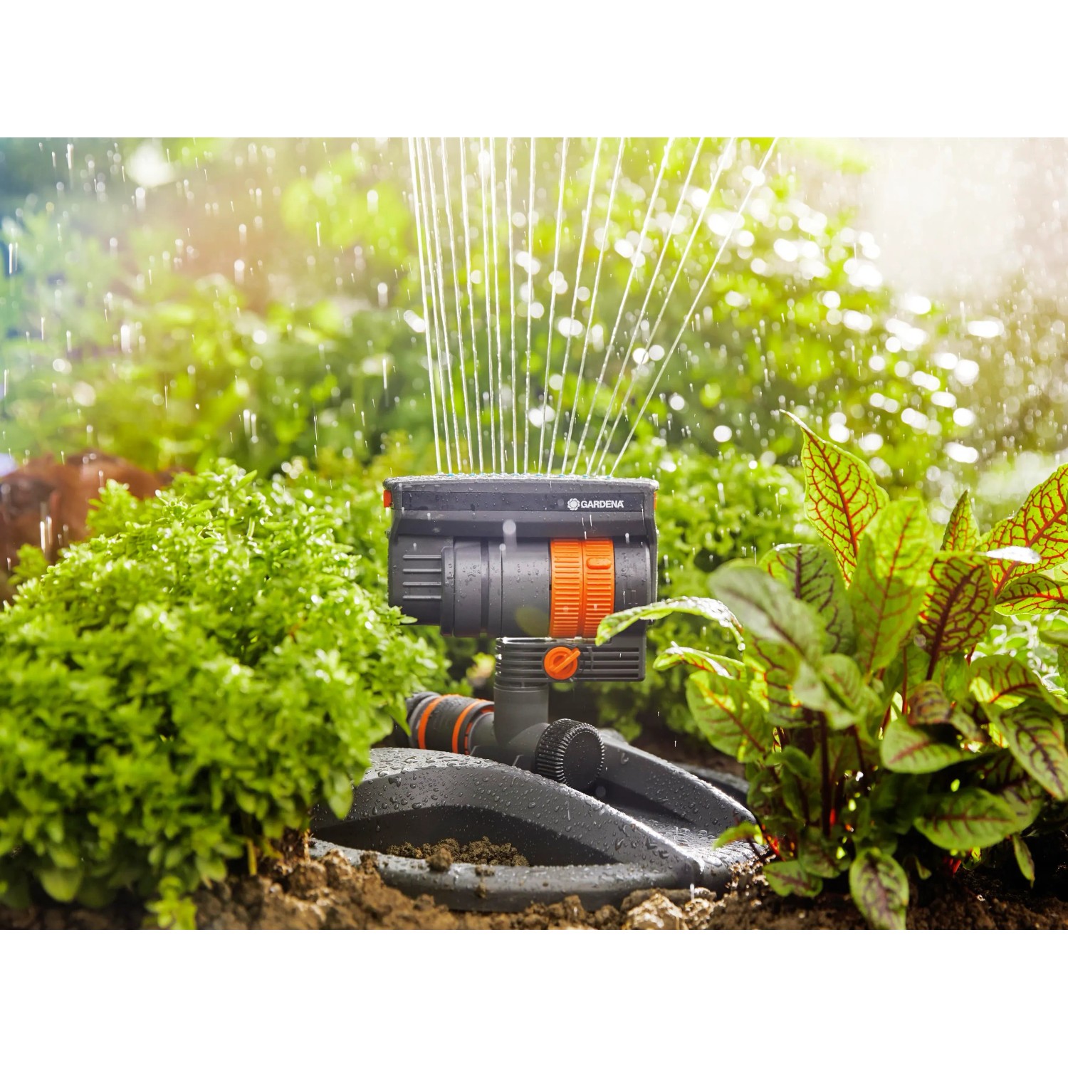 Gardena Viereckregner Aqua Zoom Compact im Einsatz: Bewässerung von Pflanzen im Garten.