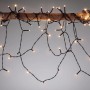 Paulmann LED-Lichterkette Yuna Plug & Shine, warmweiß, schwarz, 10 m, auf Ast. Dekorative Außenbeleuchtung.