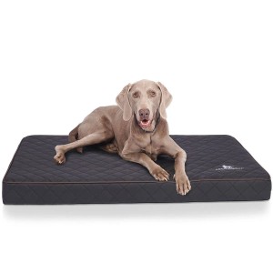 Hund liegt auf schwarzer, orthopädischer Knuffelwuff Hundematte Juna aus Kunstleder.