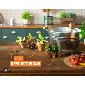 Proflora Kokosfaser Anzuchttöpfe mit jungen Pflanzen auf einem Tisch.