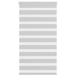 vidaXL Doppelrollo Hellgrau 70x100 cm Stoffbreite 65,9 cm Polyester 4014411