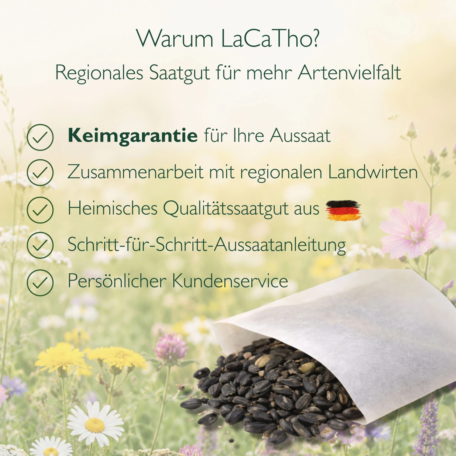 LaCaTho Sonnenblumen Sunstar Samen in Papiertüte auf einer bunten Blumenwiese.