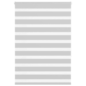 vidaXL Doppelrollo Hellgrau 100x150 cm Stoffbreite 95,9 cm Polyester 4014443