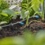 Gardena Reihentropfer im Beet: 2 l/h Micro-Drip-System zur Bewässerung von Pflanzen.