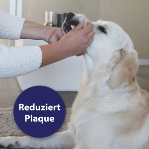 Anwendung der Canosept Zahnpflege Finger-Pads zur Reinigung des Hundegebisses.
