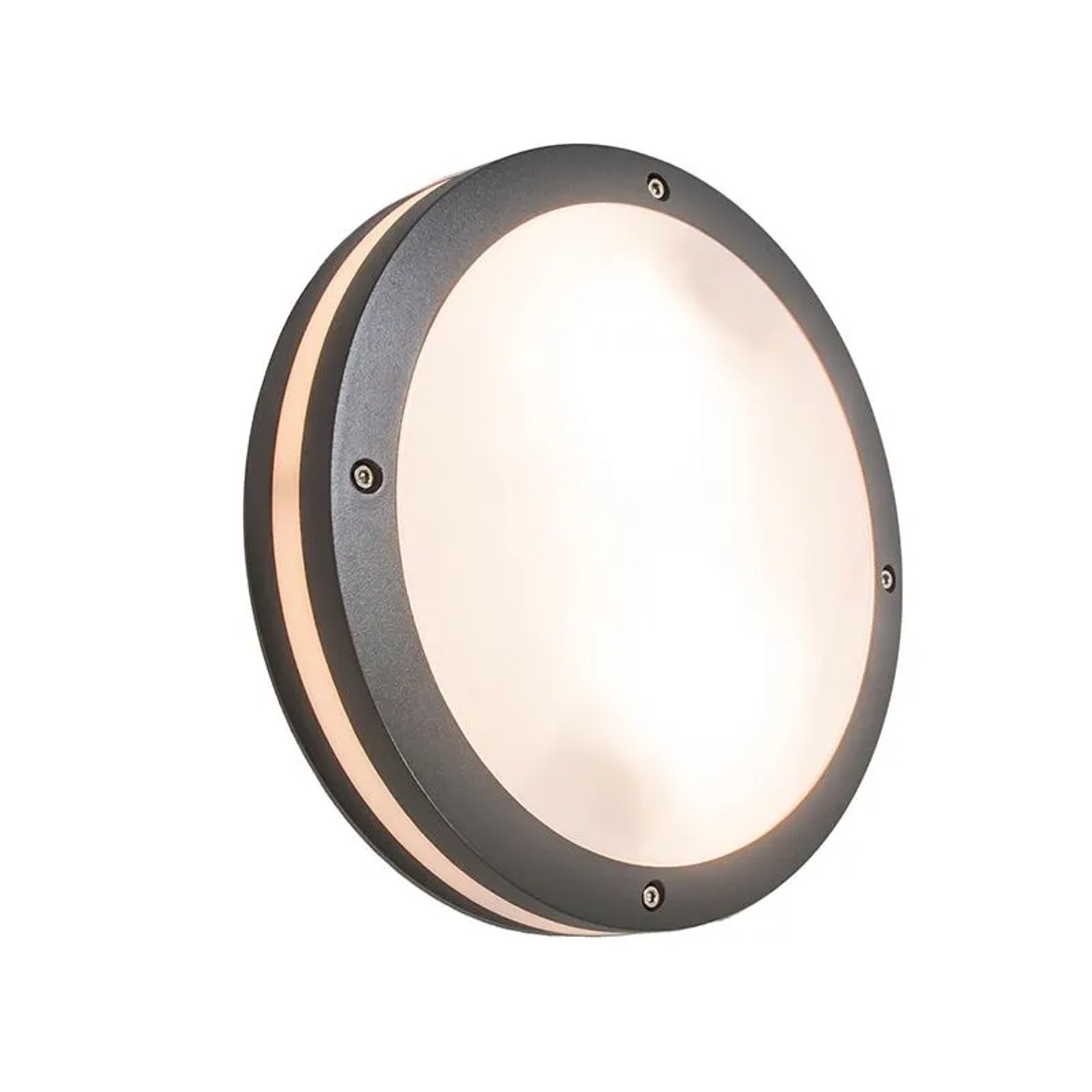 QAZQA Wand- und Deckenleuchte Dunkelgrau 2-flammig IP54 Glow