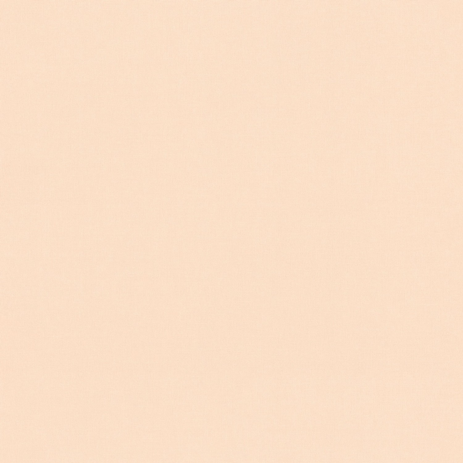Bricoflor Einfarbige Tapete in Apricot Mädchenzimmer und Schlafzimmer Uni Vliestapete in Rosa Dezente Wandtapete Ideal für Kinderzimmer