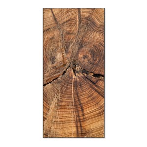 Schwarze Magnettafel 37x78cm mit Jahresringe Motiv, Wanddekoration für Notizen und Fotos.