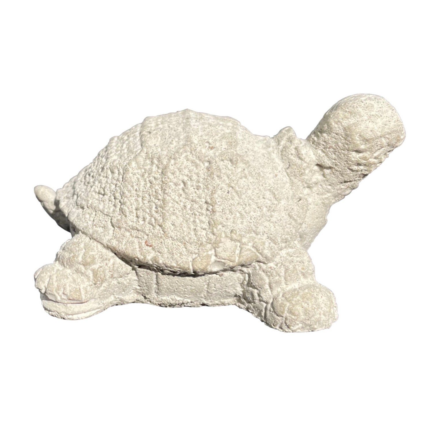 ZGM Betonfigur Schildkröte BABY günstig online kaufen