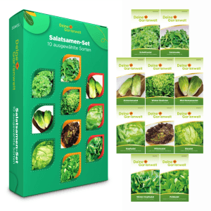 Deine Gartenwelt Salatsamen-Set: 10 Sorten Gemüsesamen in grüner Box, einzelne Päckchen mit Salatabbildungen.