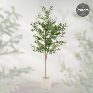 ML-Design Künstlicher Olivenbaum 210 cm Groß mit Früchten