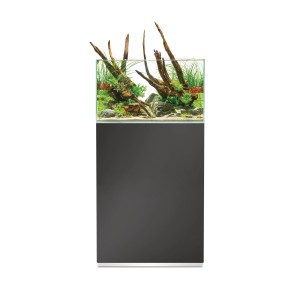 Oase Aquarium-Set ScaperLine 60 Grau 73 l