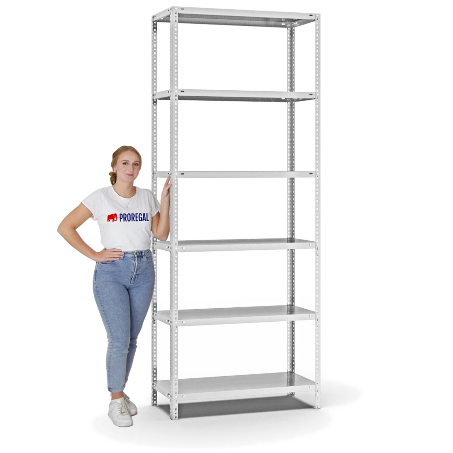 PROREGAL Fachbodenregal, Schraubsystem, lichtgrau, 6 Ebenen, Fachlast 125kg, beidseitig nutzbar.