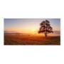 Banjado Magnettafel mit Motiv Sonnenaufgang: Goldener Himmel, Baum auf Feld, sanfter Nebel über Landschaft.