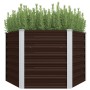 Braunes, sechseckiges vidaXL Garten-Hochbeet (129x129x77cm) aus Stahl, bepflanzt.