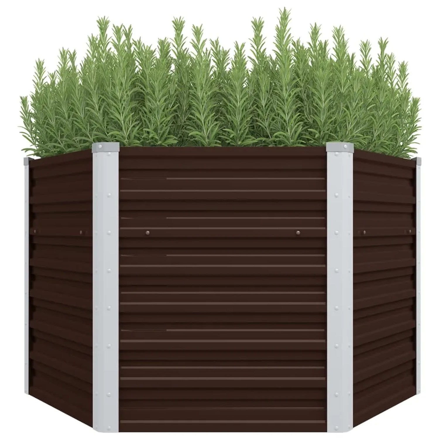 Braunes, sechseckiges vidaXL Garten-Hochbeet (129x129x77cm) aus Stahl, bepflanzt.