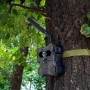 Technaxx Wildtierkamera TX-189 4G mit Solarpanel am Baum befestigt.