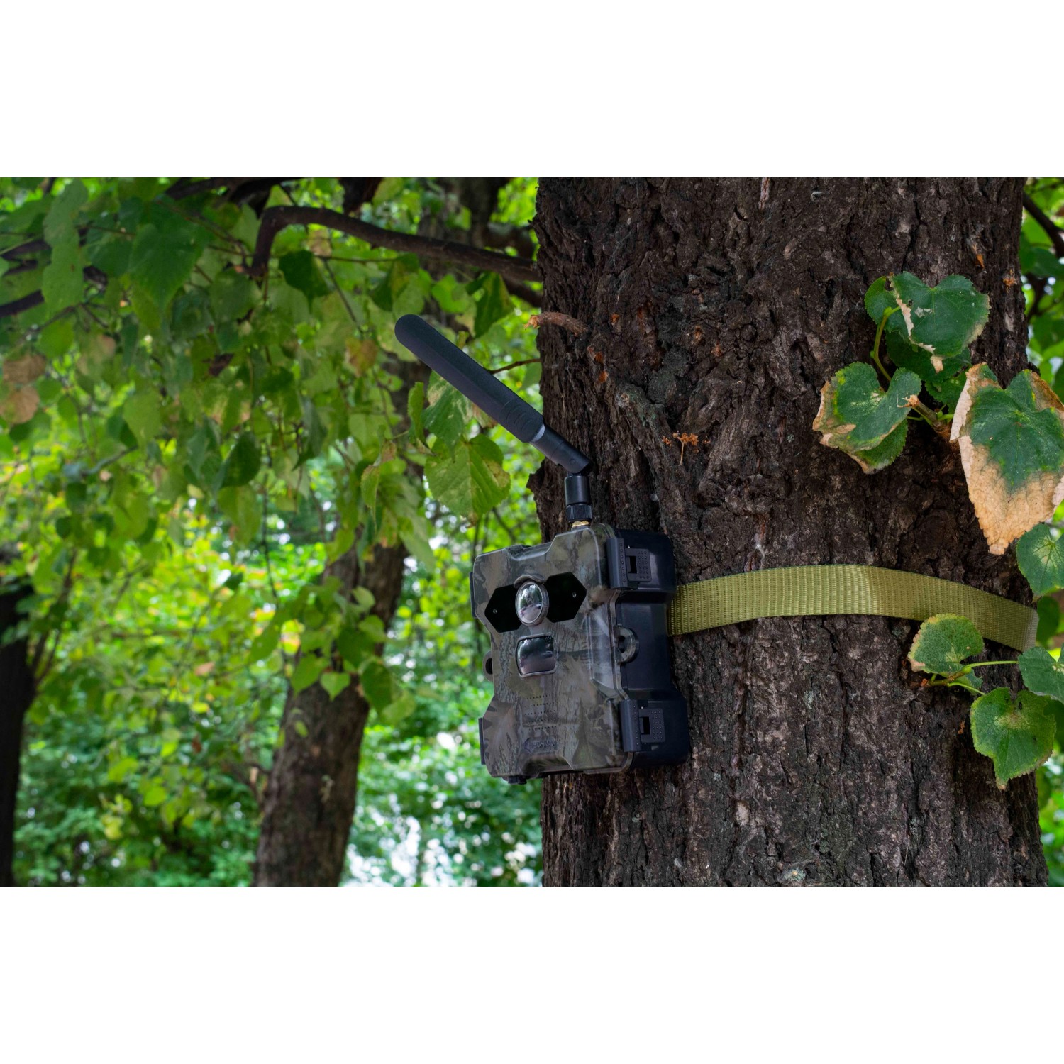 Technaxx Wildtierkamera TX-189 4G mit Solarpanel am Baum befestigt.