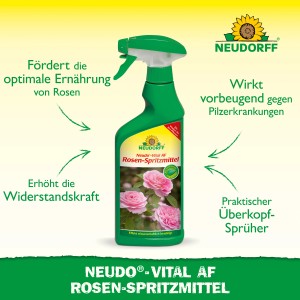 Neudorff Neudo-Vital AF Rosen-Spritzmittel 500ml: Sprühflasche zur Pflanzenstärkung für gesunde Rosen.