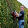 Einhell Akku-Heckenschere GE-CH 36/65 Li-Solo beim Heckenschnitt.