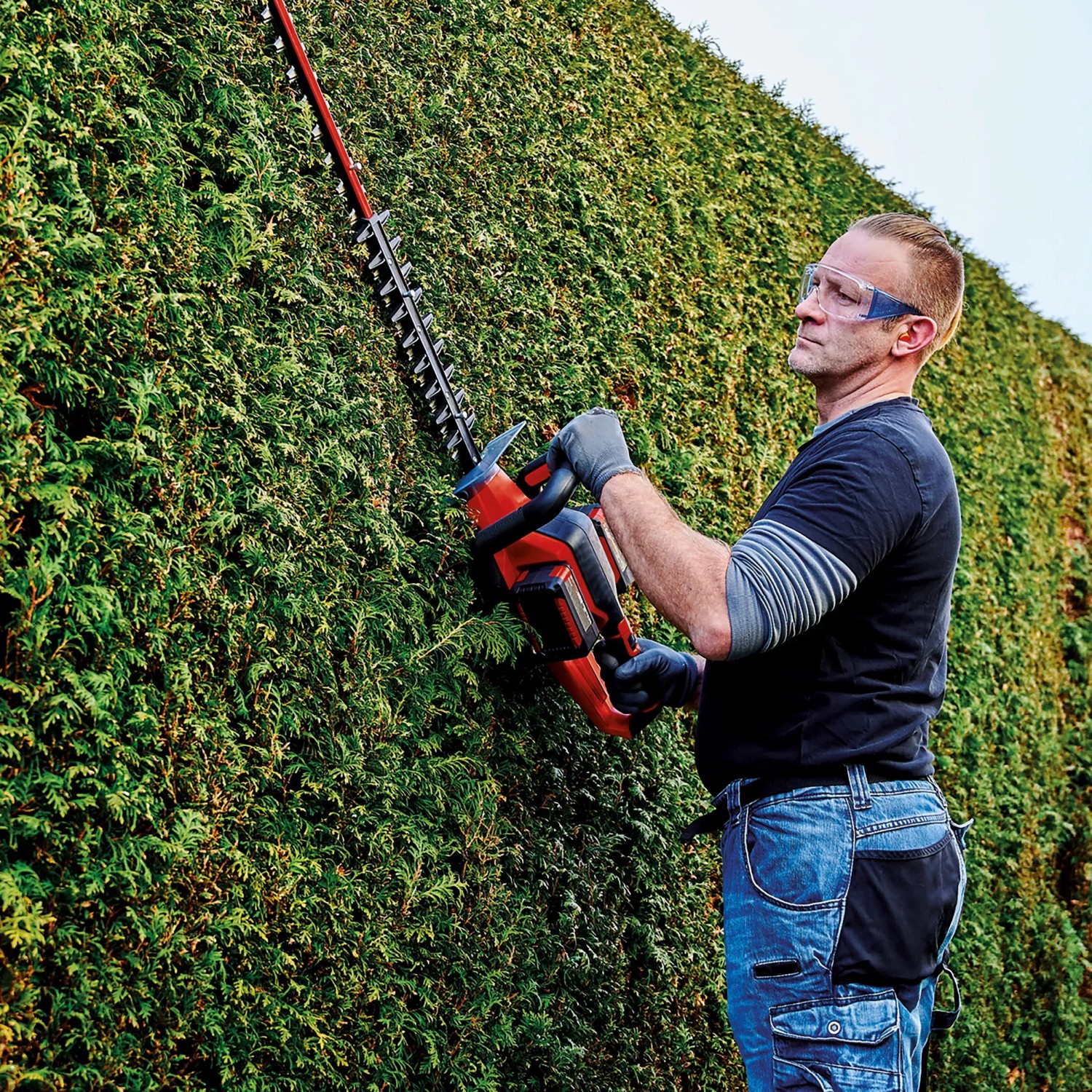 Einhell Akku-Heckenschere GE-CH 36/65 Li-Solo beim Heckenschnitt.