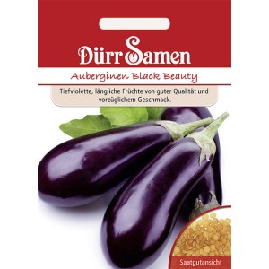 Dürr Samen Auberginen Black Beauty: Saatgut-Packung mit tiefvioletten, länglichen Auberginen.