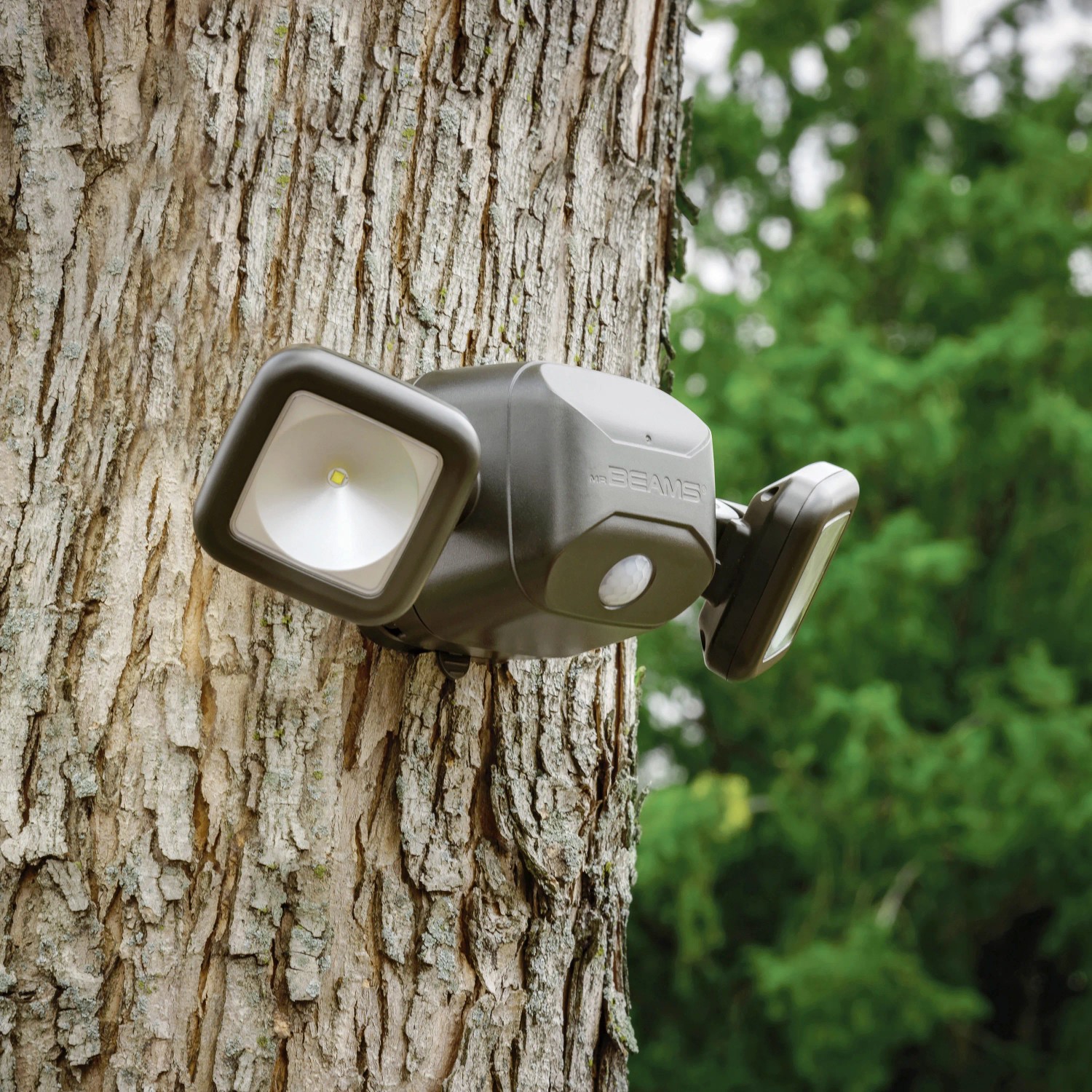 Braune Mr. Beams LED-Außenwandleuchte MB3000 mit Bewegungsmelder an Baum montiert.